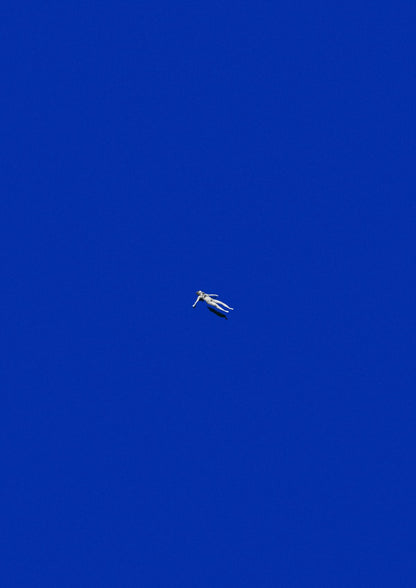variant-21x30_no-margin