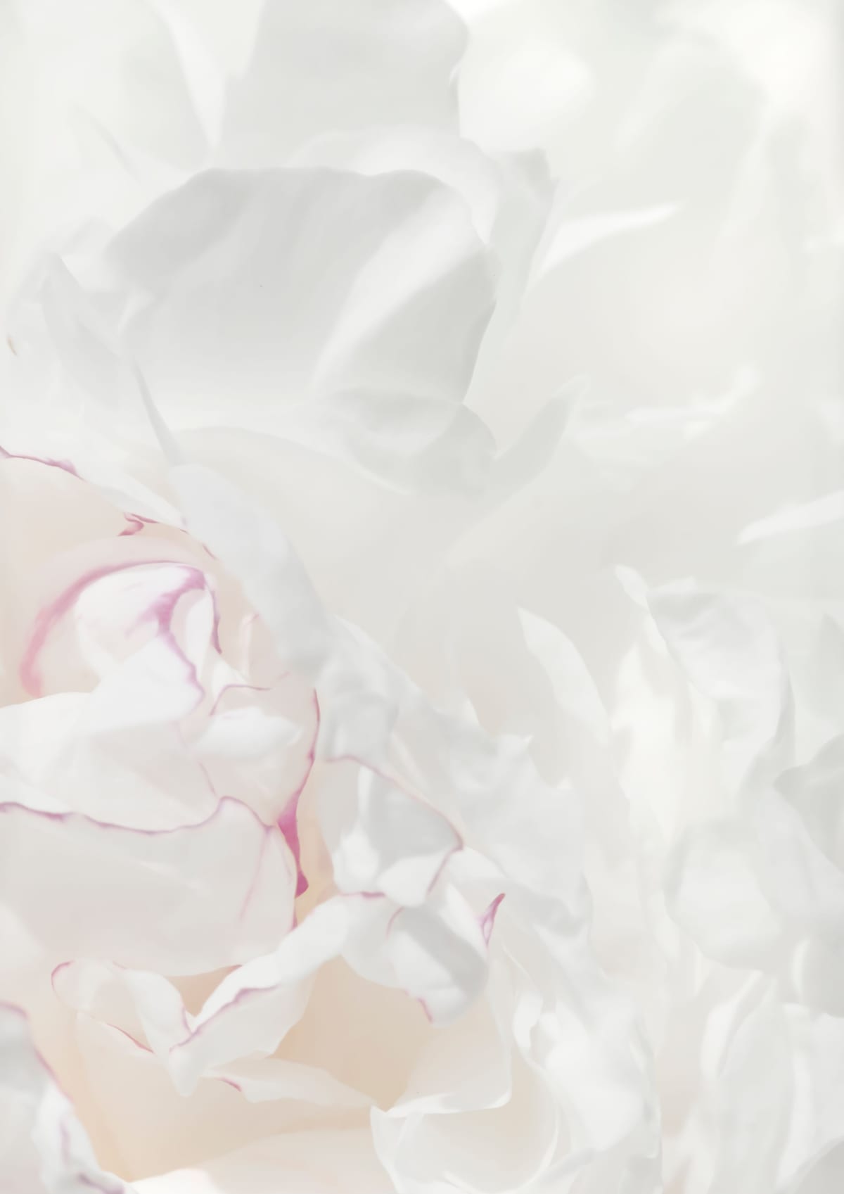 variant-21x30_no-margin
