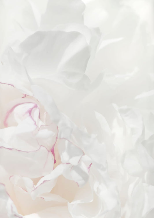 variant-21x30_no-margin