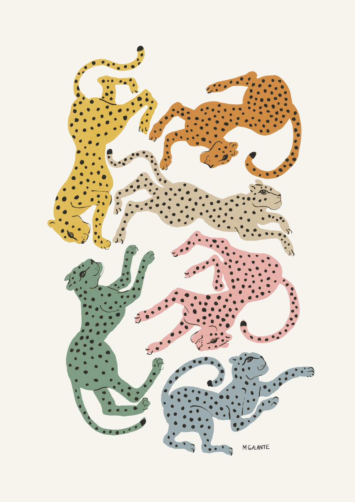 variant-21x30_no-margin