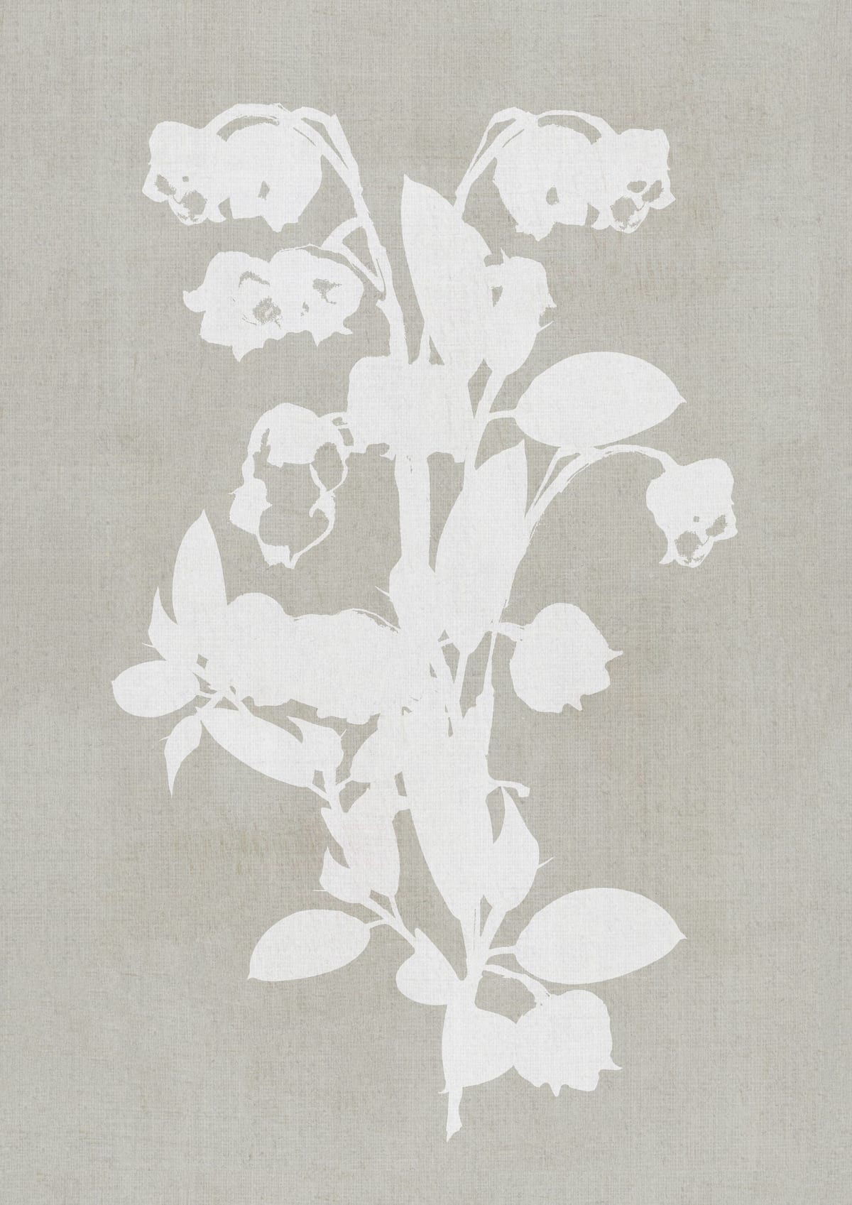 variant-21x30_no-margin