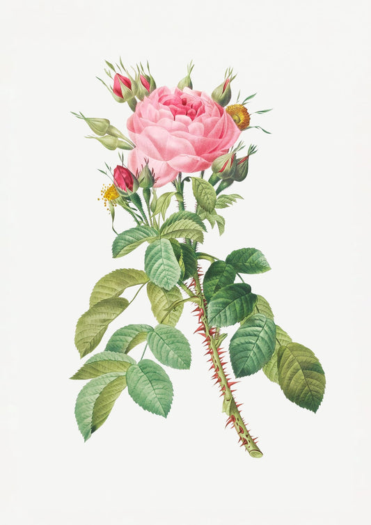 variant-21x30_no-margin