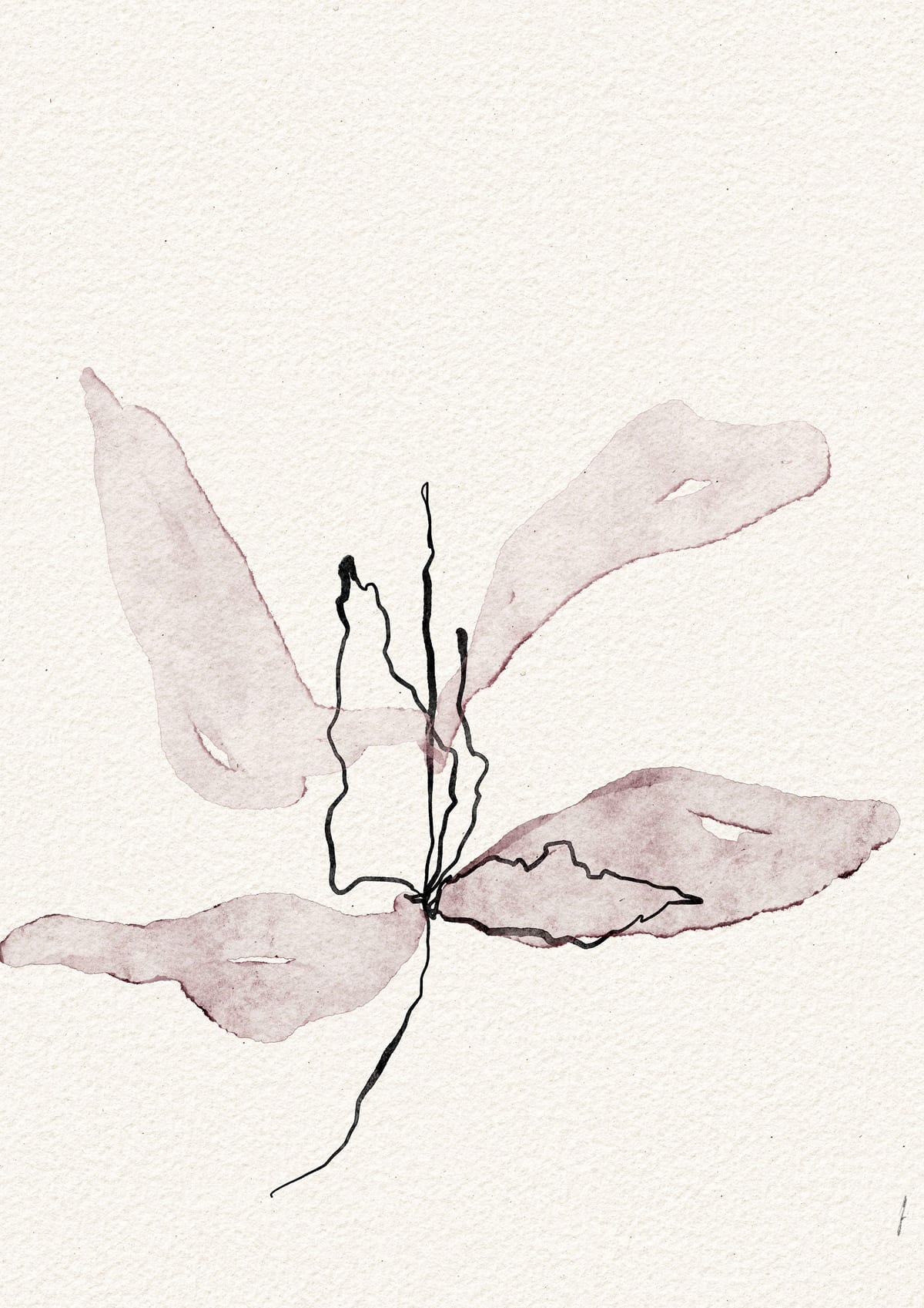 variant-21x30_no-margin