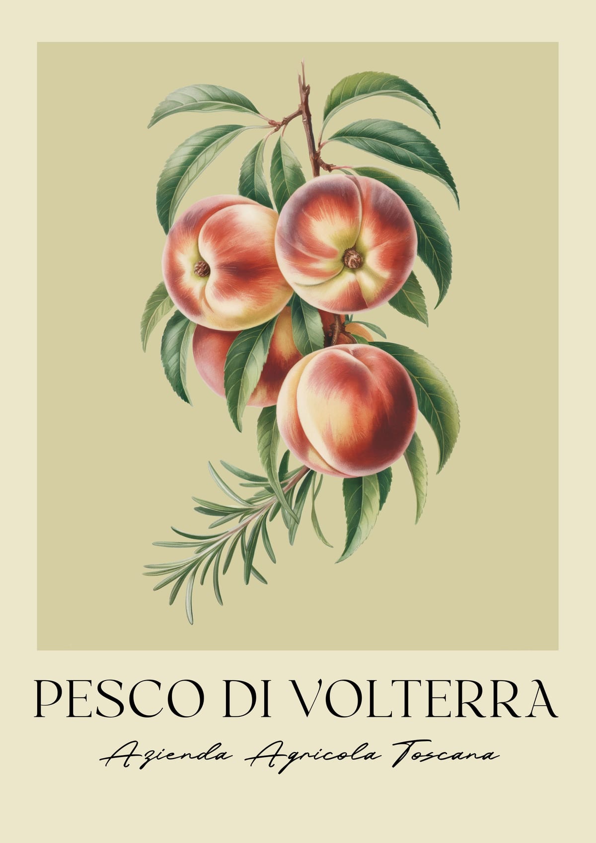 variant-21x30_no-margin