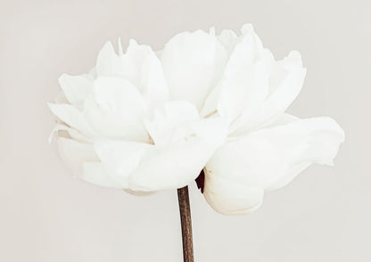 variant-21x30_no-margin