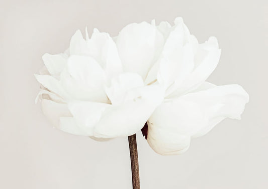 variant-21x30_no-margin