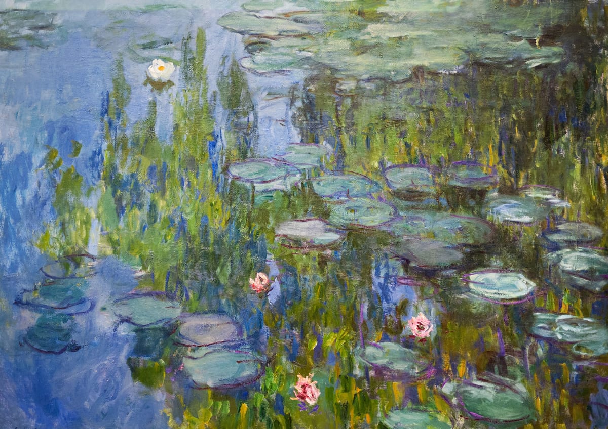variant-21x30_no-margin