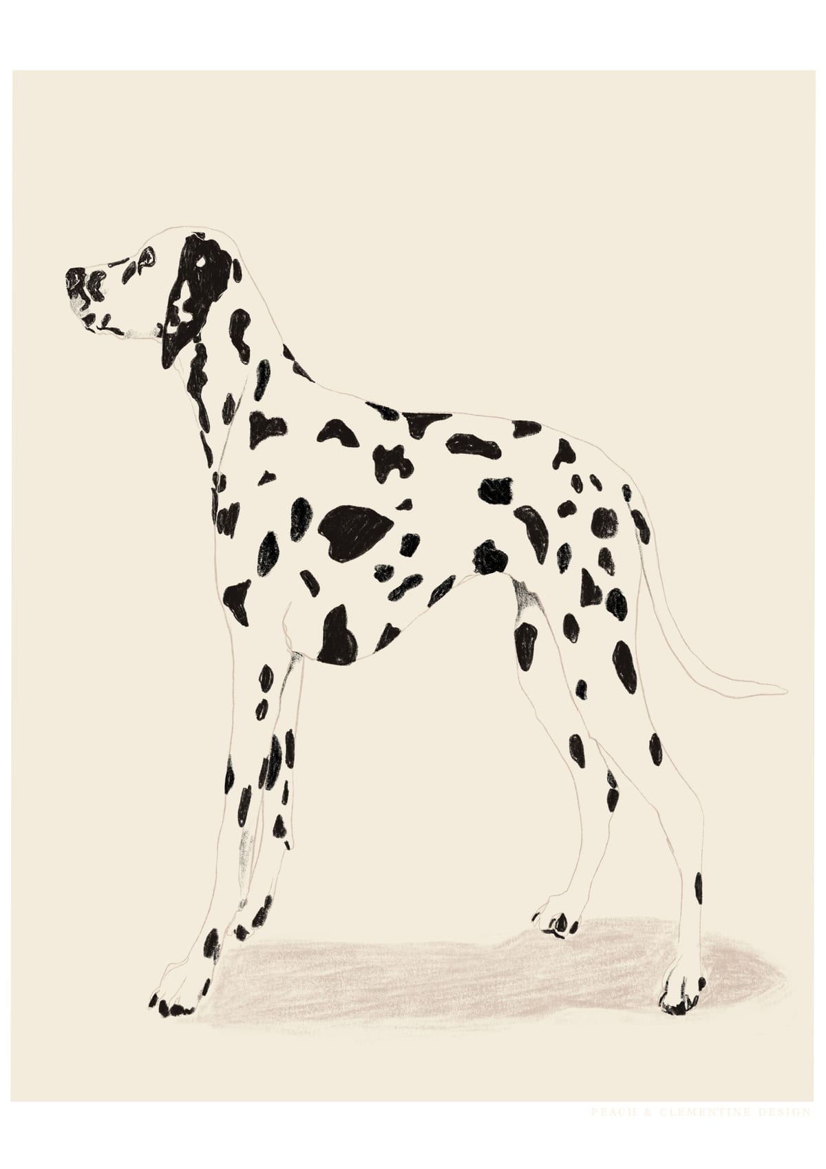 variant-21x30_no-margin