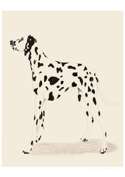 variant-21x30_no-margin
