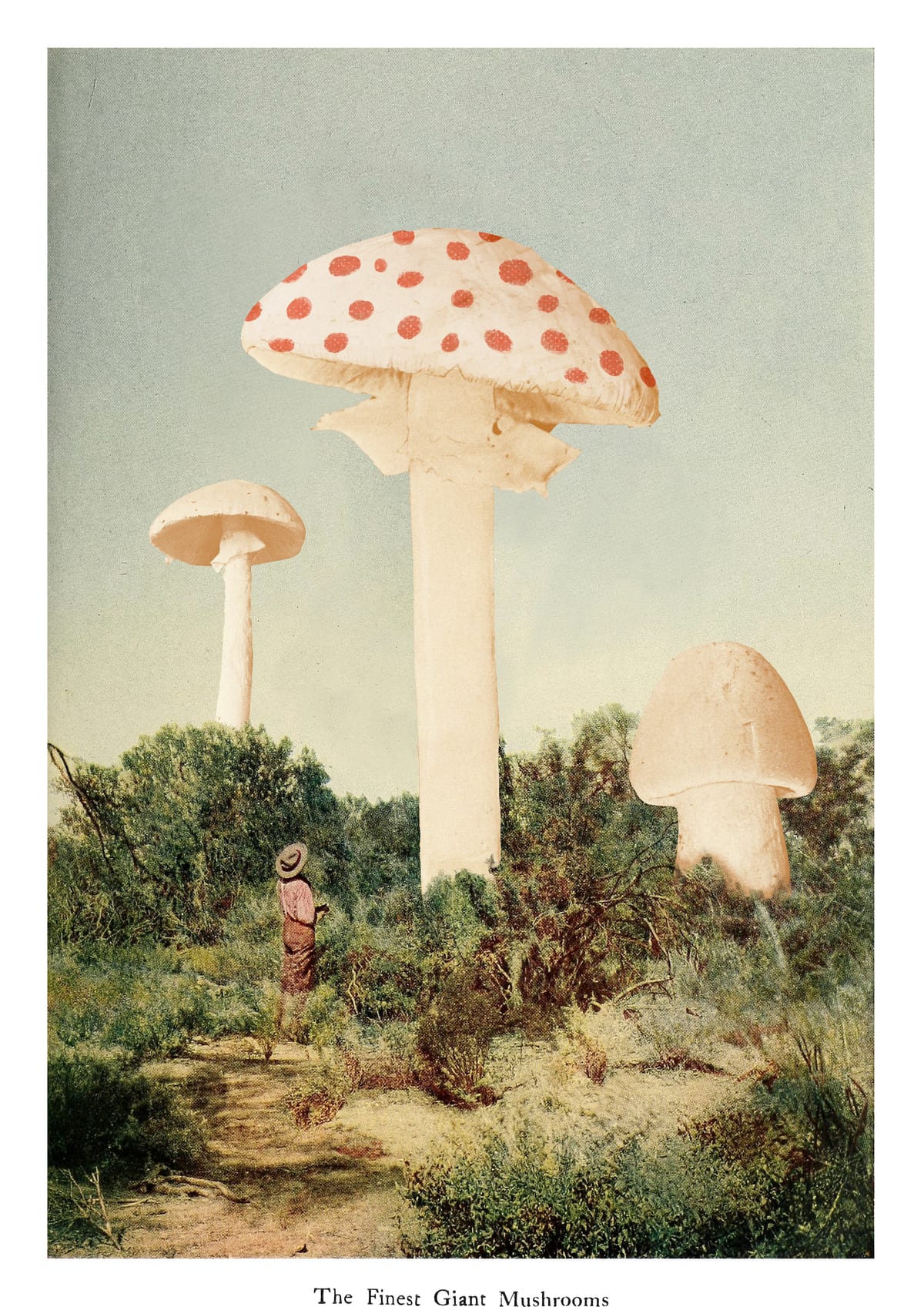 variant-21x30_no-margin