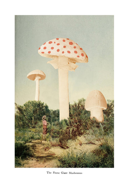 variant-21x30_with-margin