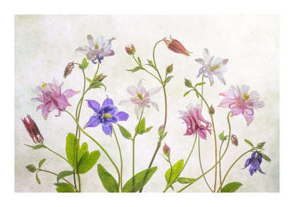 variant-21x30_with-margin