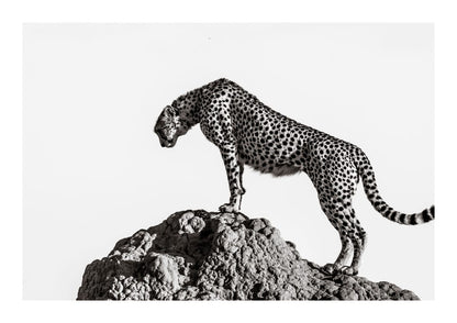 variant-21x30_with-margin