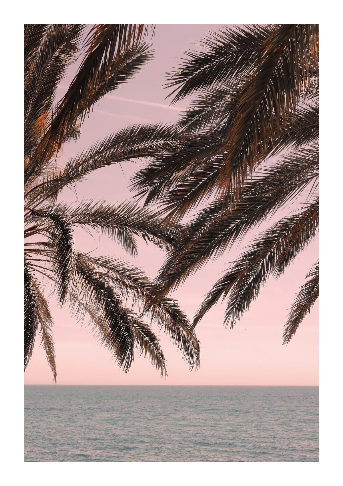 variant-21x30_with-margin