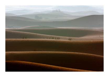 variant-21x30_with-margin