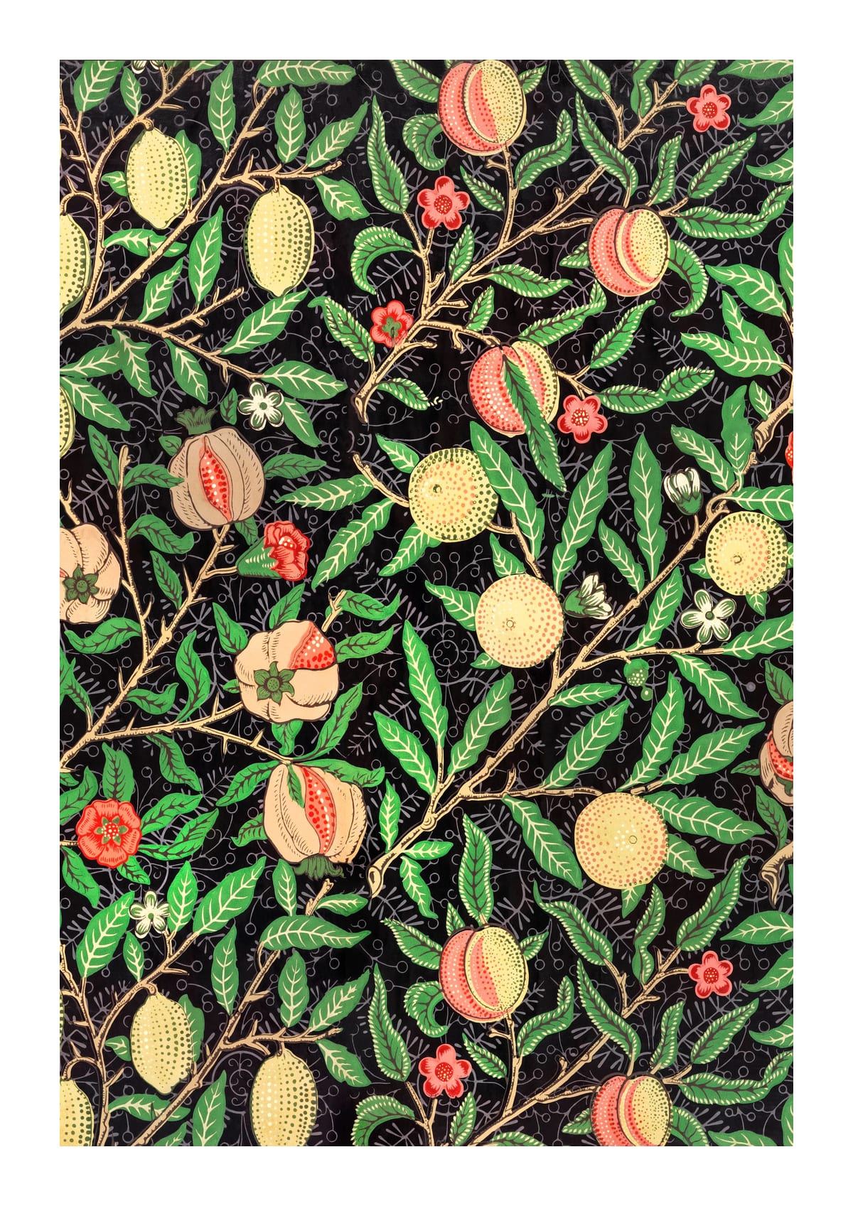 variant-21x30_with-margin
