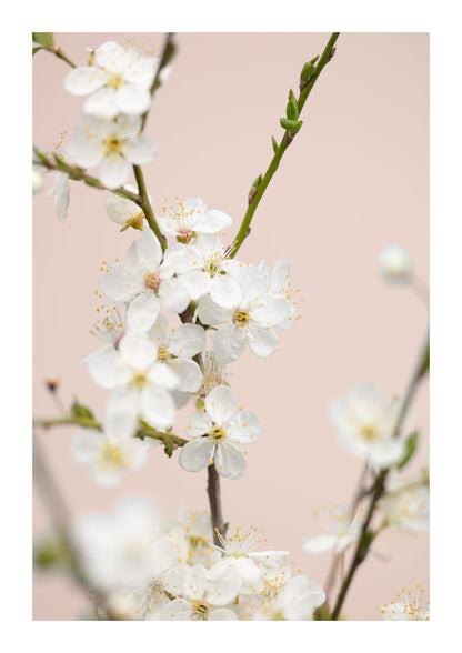 variant-21x30_with-margin