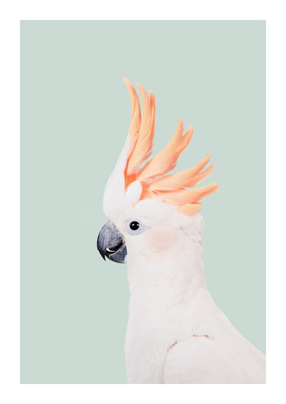 variant-21x30_with-margin