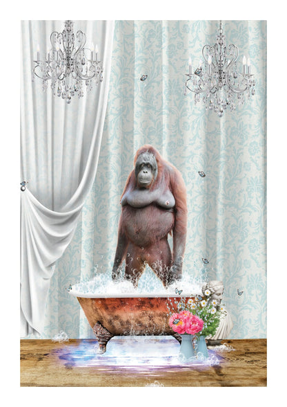 variant-21x30_with-margin
