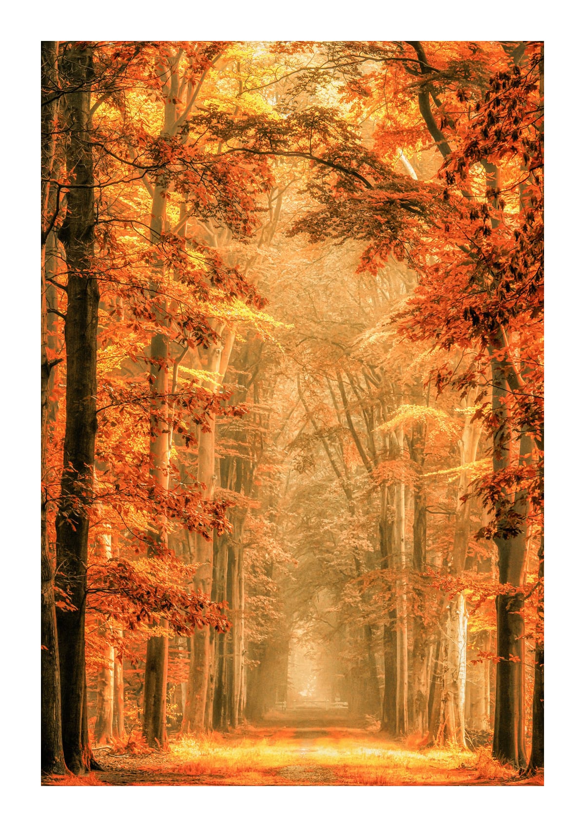 variant-21x30_with-margin