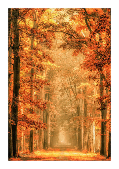 variant-21x30_with-margin