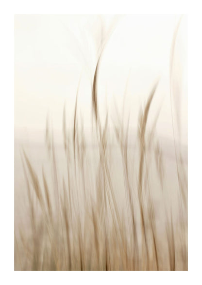 variant-21x30_with-margin