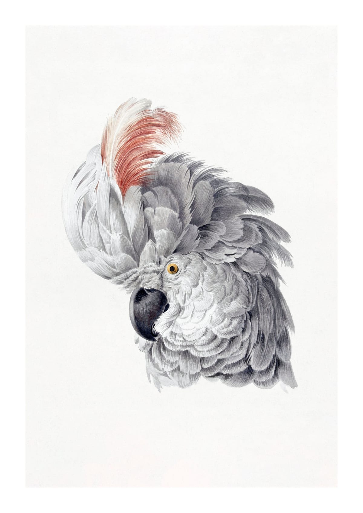 variant-21x30_with-margin