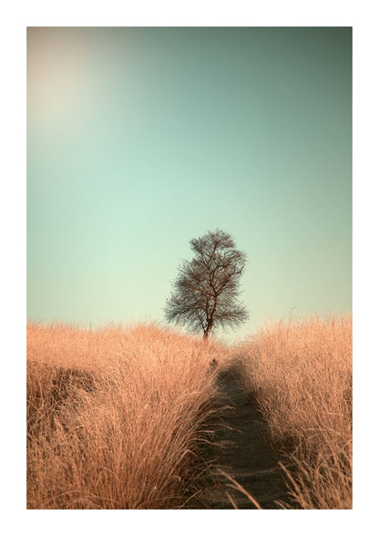 variant-21x30_with-margin