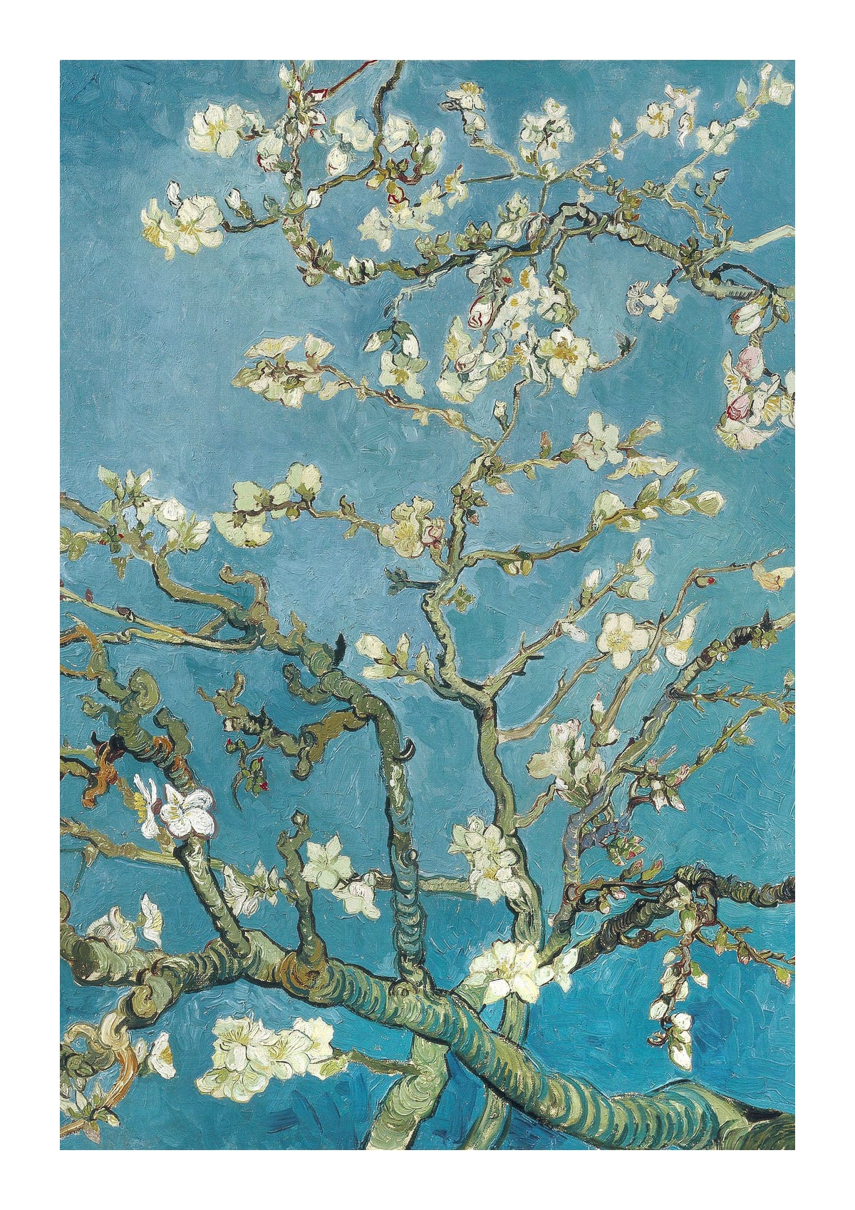 variant-21x30_with-margin