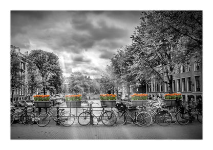 variant-21x30_with-margin