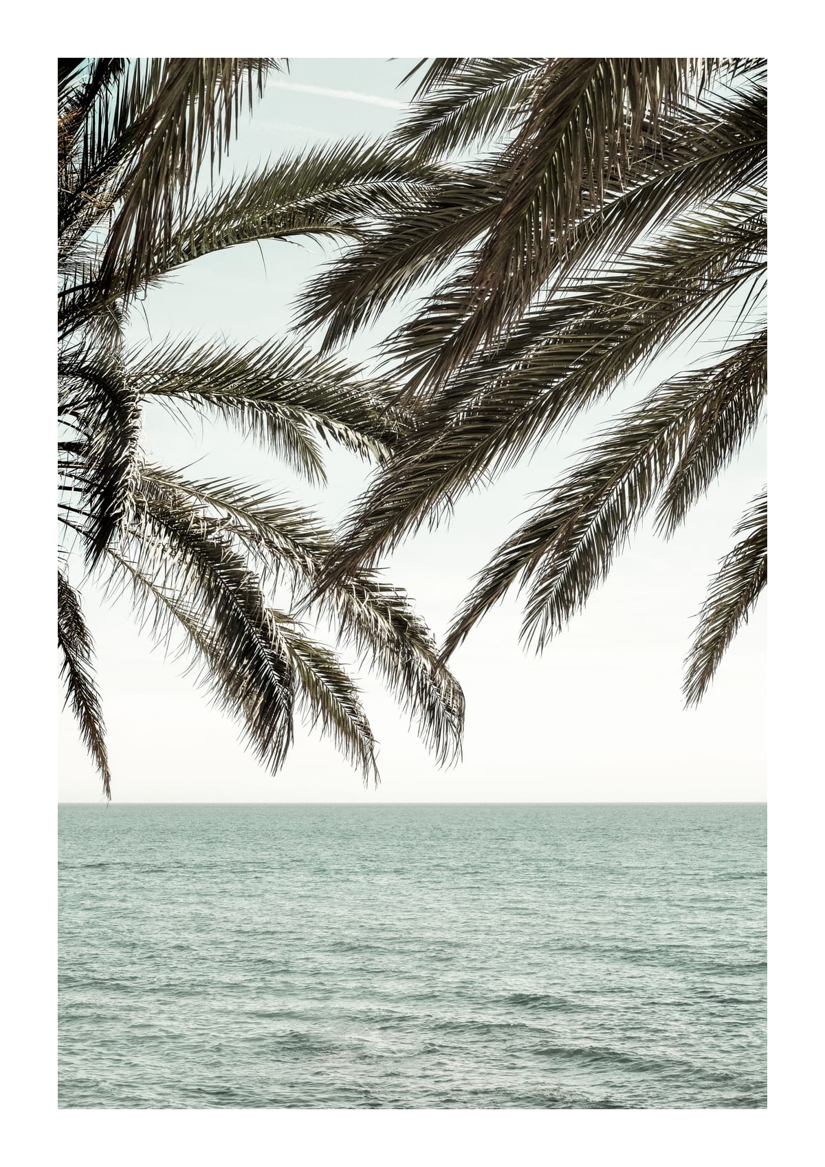 variant-21x30_with-margin