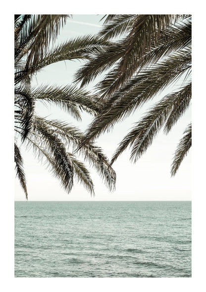 variant-21x30_with-margin
