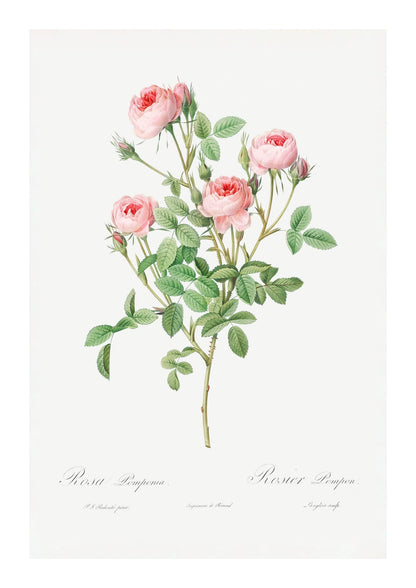 variant-21x30_with-margin