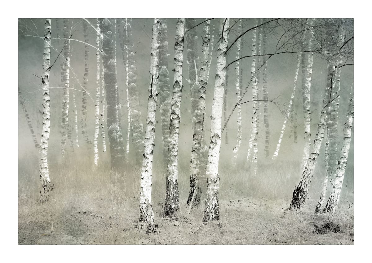 variant-21x30_with-margin