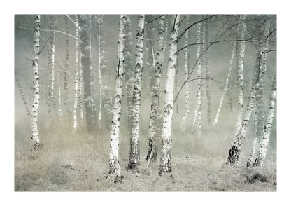 variant-21x30_with-margin