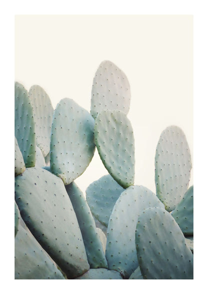 variant-21x30_with-margin