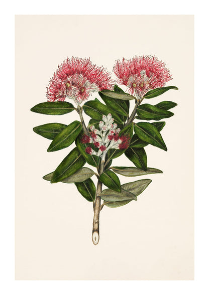 variant-21x30_with-margin