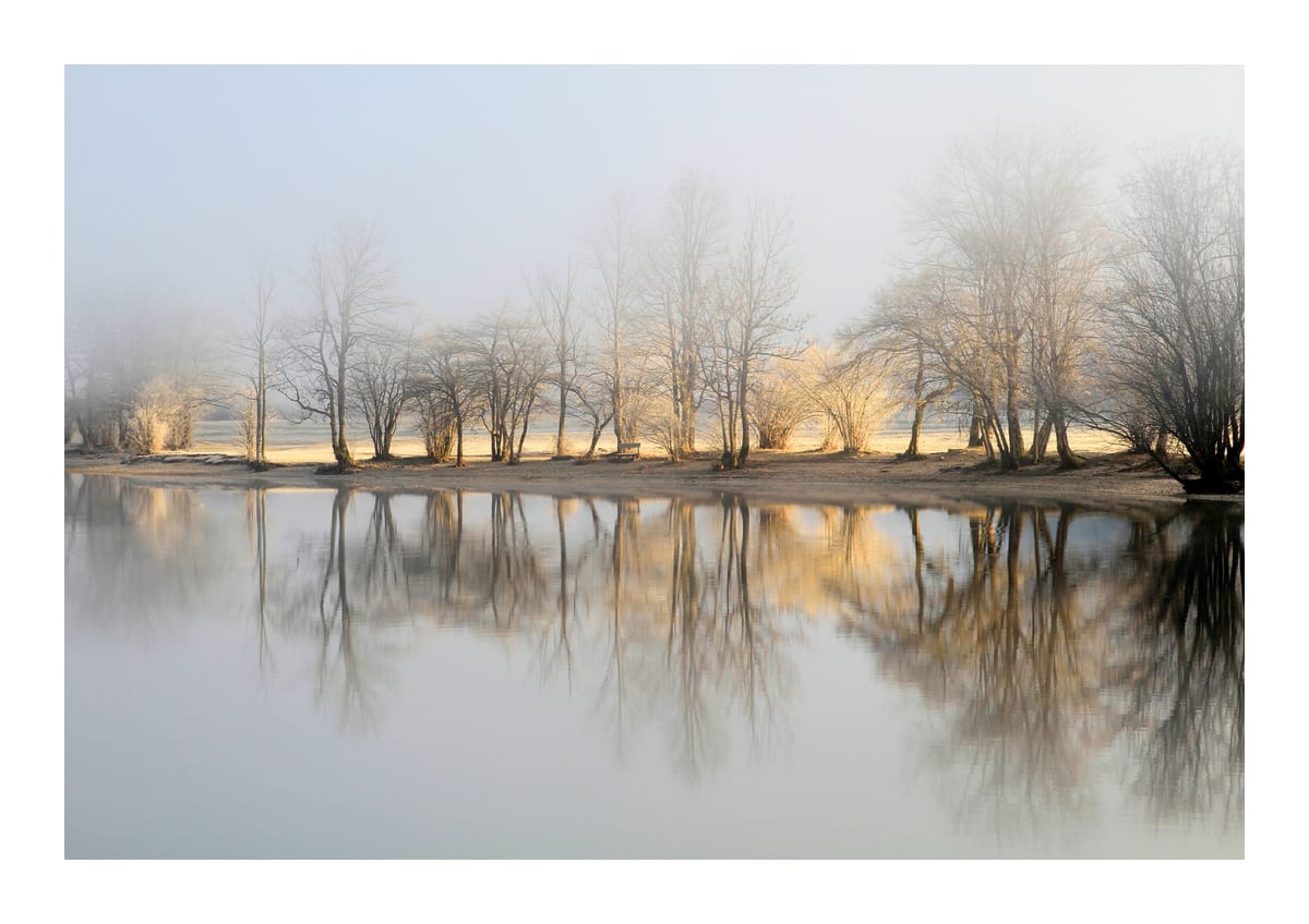 variant-21x30_with-margin