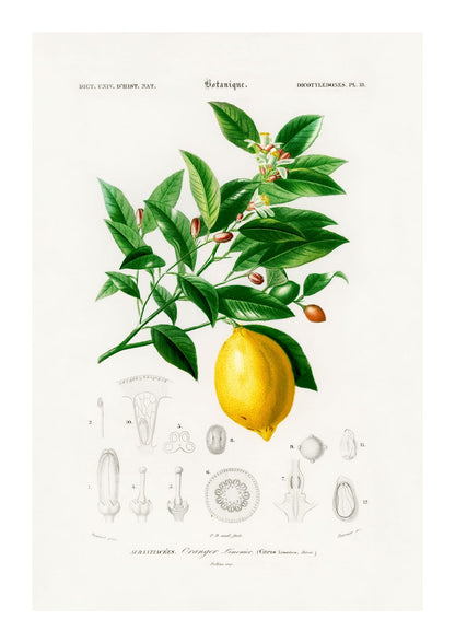 variant-21x30_with-margin
