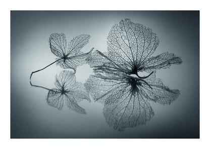 variant-21x30_with-margin