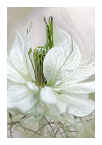 variant-21x30_with-margin