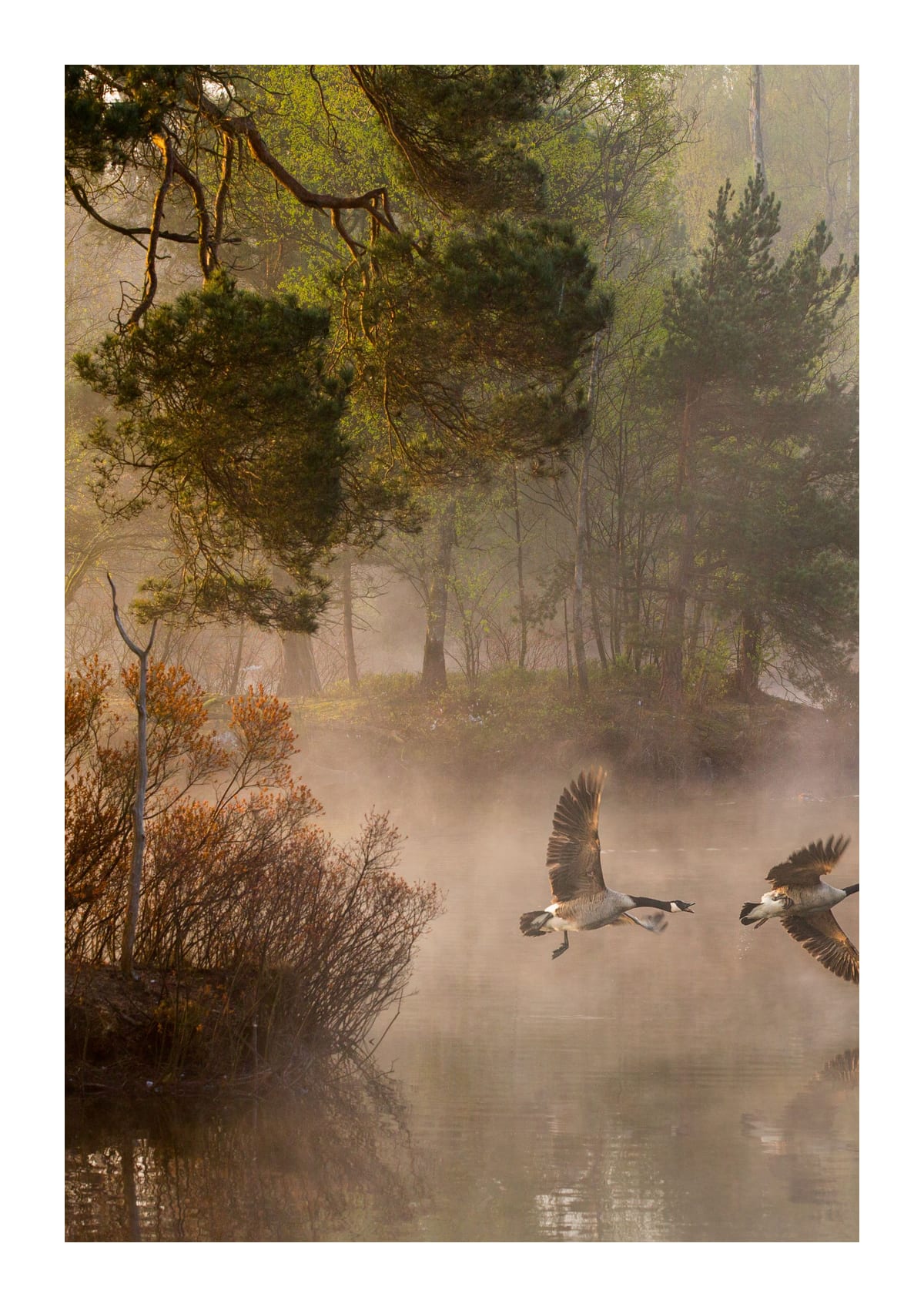 variant-21x30_with-margin