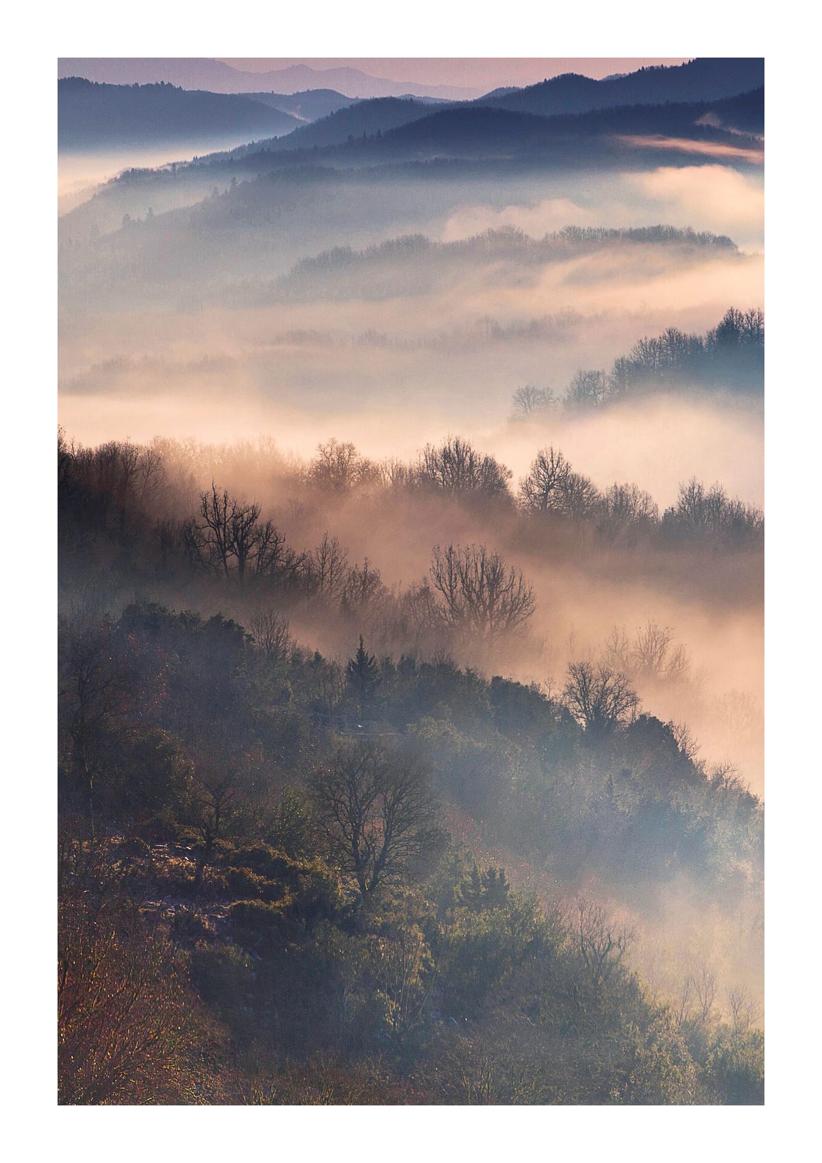variant-21x30_with-margin