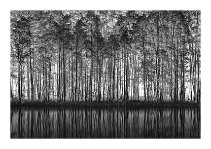 variant-21x30_with-margin