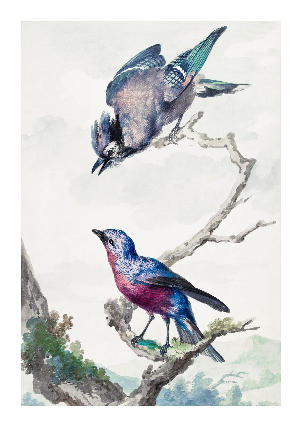 variant-21x30_with-margin