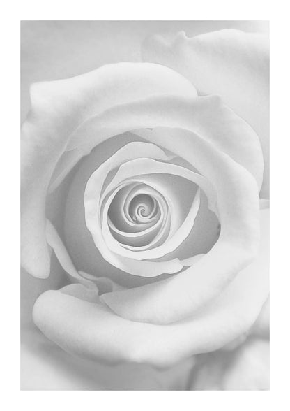 variant-21x30_with-margin