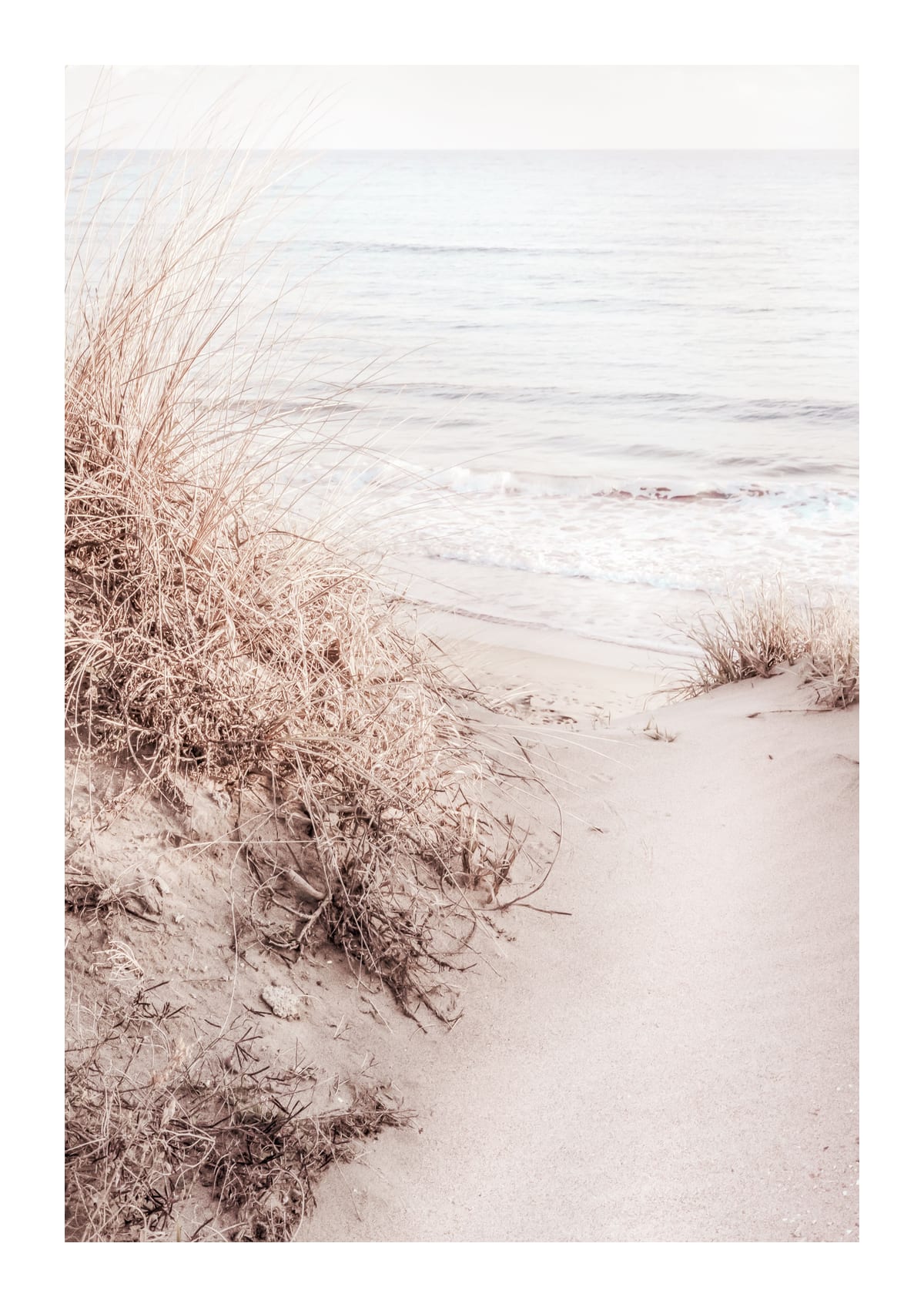 variant-21x30_with-margin