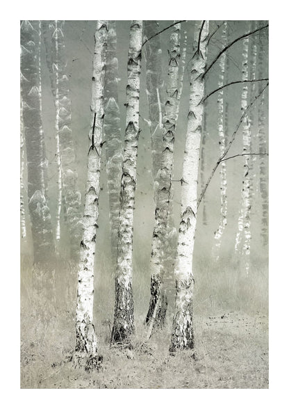 variant-21x30_with-margin