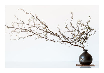 variant-21x30_with-margin