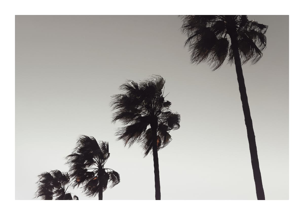 variant-21x30_with-margin